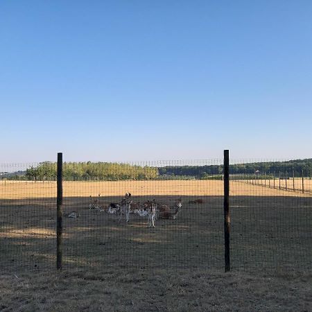 Tielt Lemen Huis Houwaart מראה חיצוני תמונה