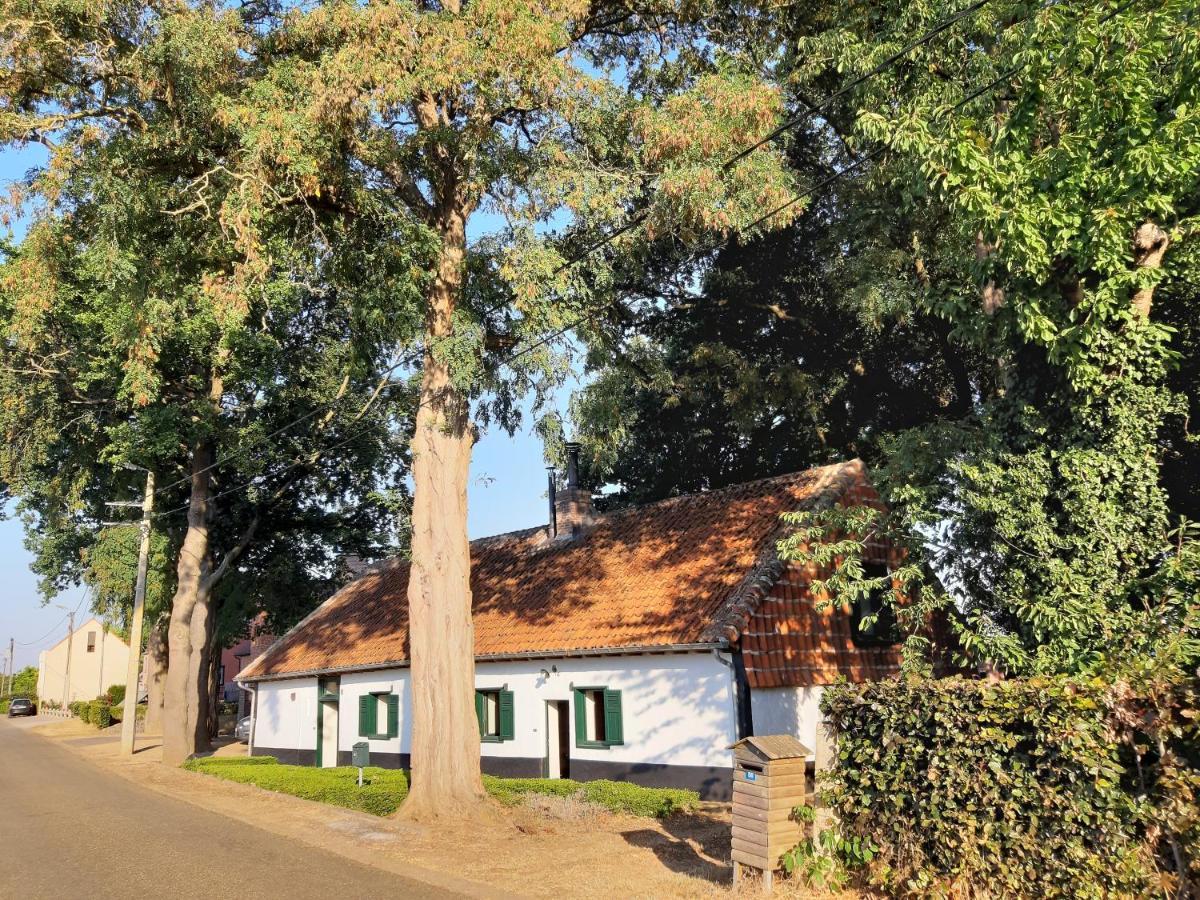 Tielt Lemen Huis Houwaart מראה חיצוני תמונה