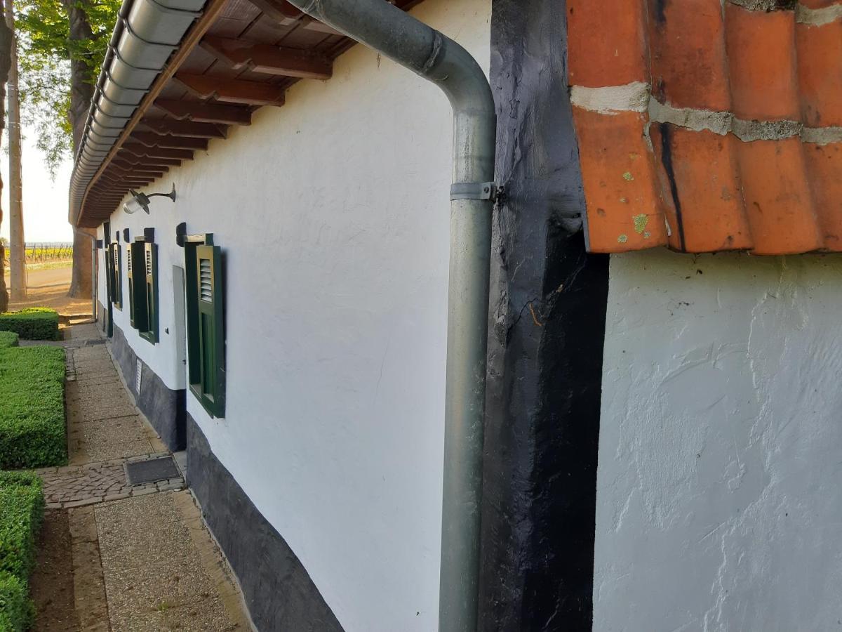 Tielt Lemen Huis Houwaart מראה חיצוני תמונה
